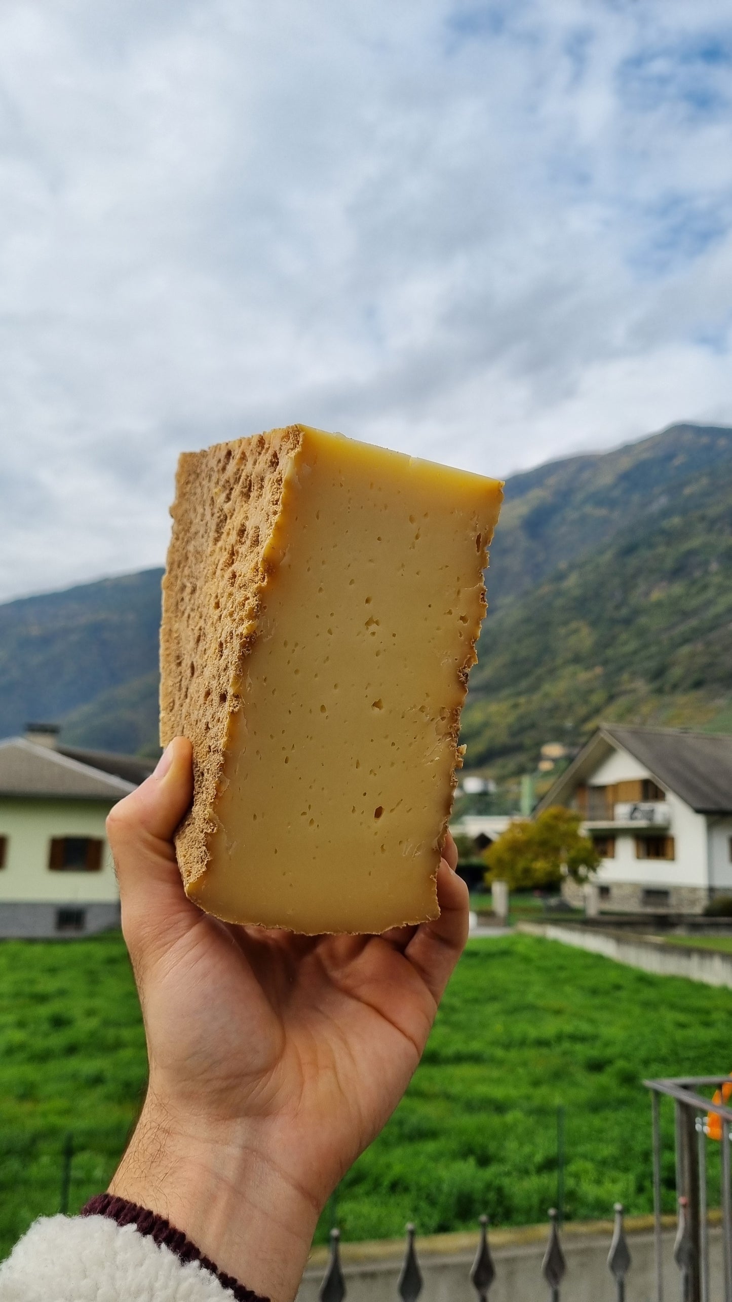 LO STRAVECCHIO DI MONTAGNA "vanoli"
