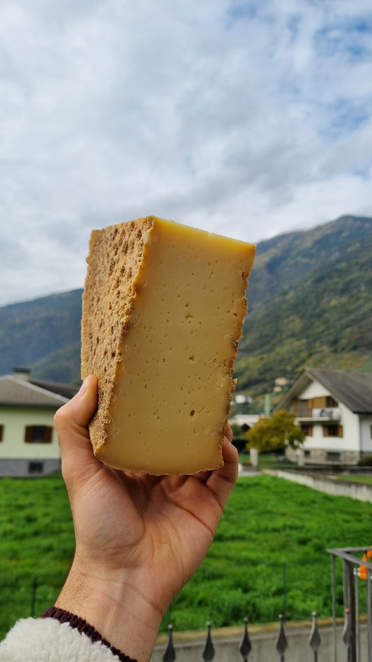 LO STRAVECCHIO DI MONTAGNA "vanoli"
